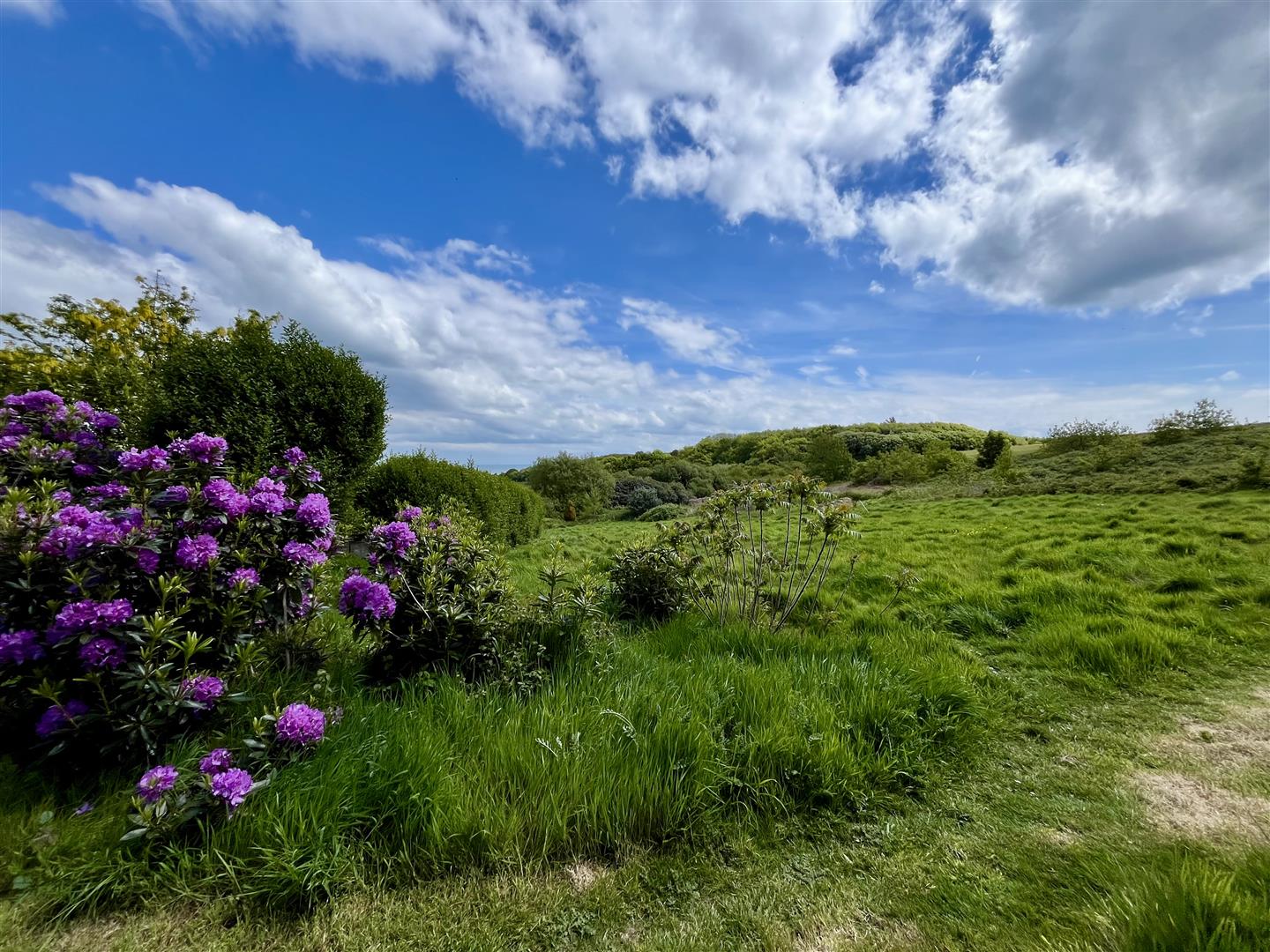 Warren Road, Fairlight